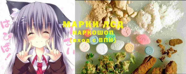 spice Бердск