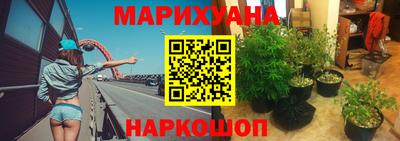 гидропоника Бийск