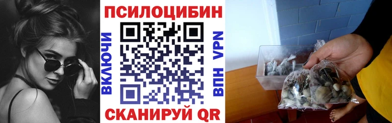 Псилоцибиновые грибы Psilocybe  Великие Луки 