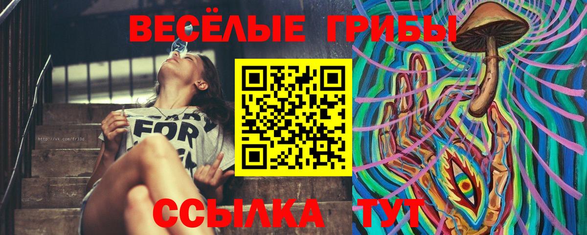 Галлюциногенные грибы Psilocybe  Великие Луки 