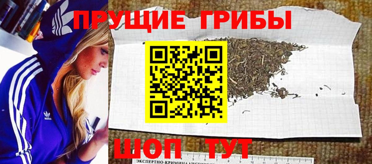 Галлюциногенные грибы мицелий  Вход с VPN  Великие Луки  Галлюциногенные грибы Cubensis 