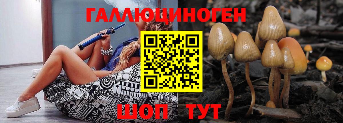 Галлюциногенные грибы GOLDEN TEACHER Великие Луки